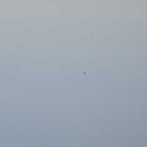 Snow 0065
